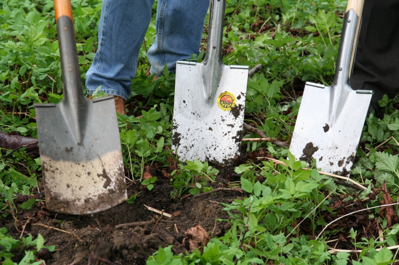 pepiniere-POURCIEUX-min_work-lawn-flower-tool-green-backyard-1103633-pxhere.com